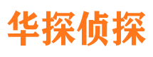 金凤私家侦探